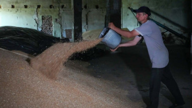fermier ucrainean vantura cereale cu galeata in hambar