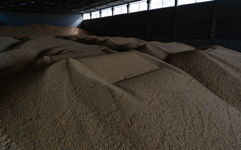 Ucraina cereale