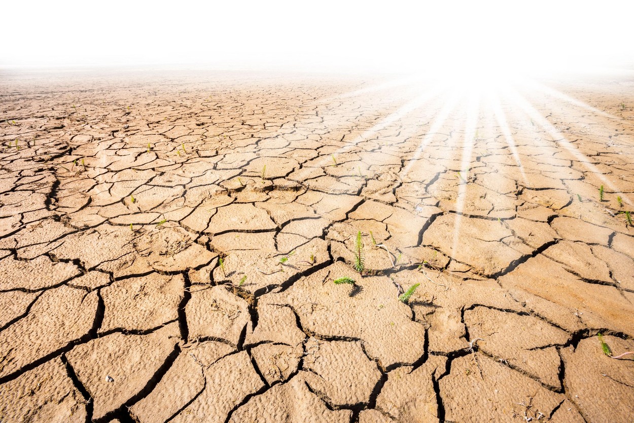 Scenariul meteo pentru România: În Bărăgan va fi ca în Sahara, se va ajunge la 50 de grade C în vara lui 2050