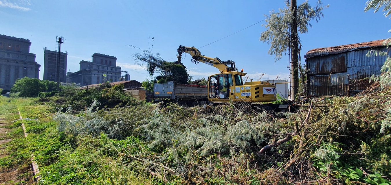 Cum arată liniile de cale ferată din Portul Constanța. Autoritățile au început curățarea bălăriilor