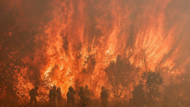 flacari mari ale unui incendiu de vegetatie