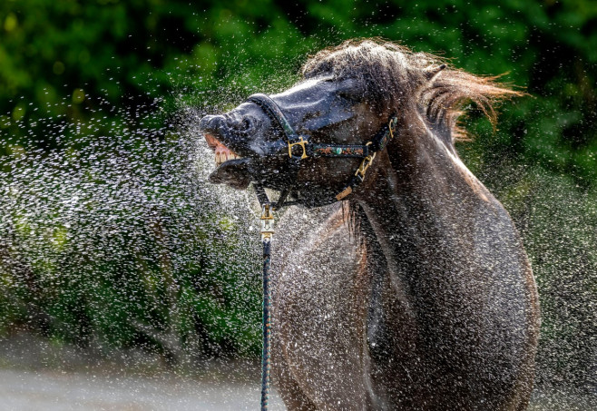 Germany Heat Wave