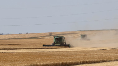 Combină recoltează grâul pe un câmp în apropiere de Izmail, regiunea Odesa
