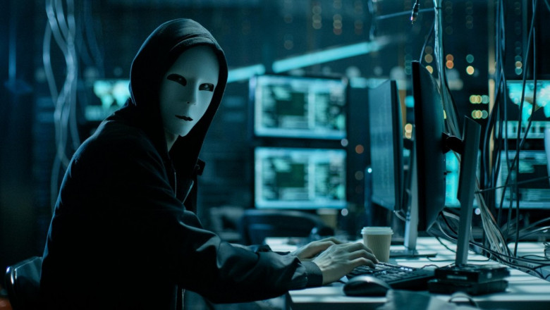 Un hacker ucrainean căutat de 10 ani pentru că a furat milioane de dolari cu "Zeus" a fost arestat când se plimba cu soția în Elveția
