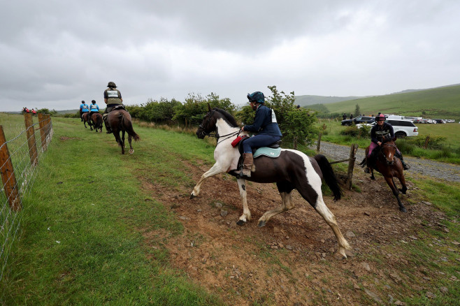 Whole Earth Man v Horse Race - 11 Jun 2022