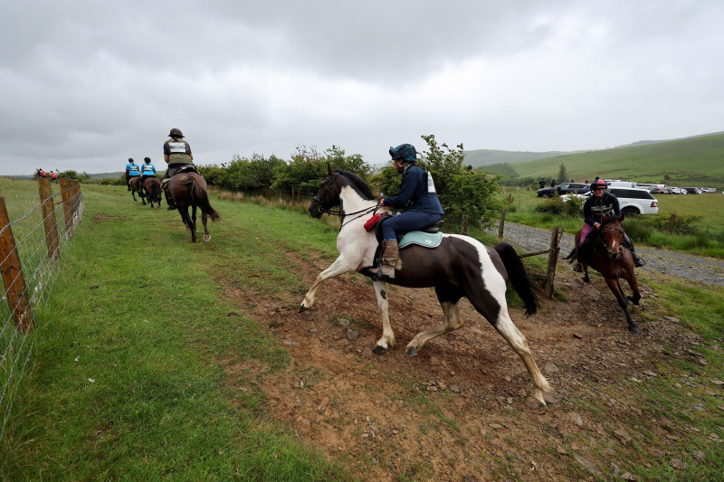 Whole Earth Man v Horse Race - 11 Jun 2022