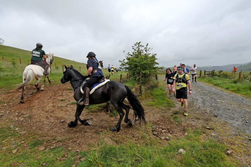 Whole Earth Man v Horse Race - 11 Jun 2022