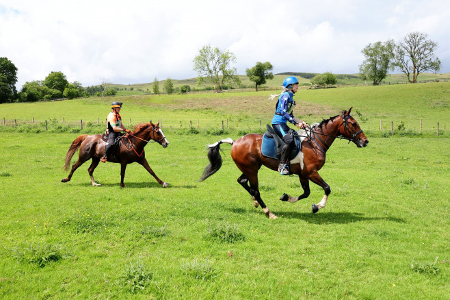 Whole Earth Man v Horse Race - 11 Jun 2022