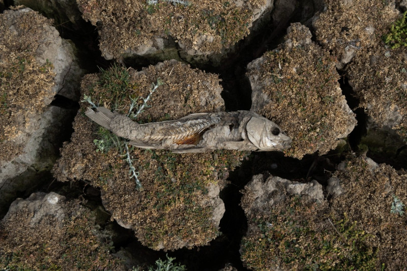 Drought in Chile