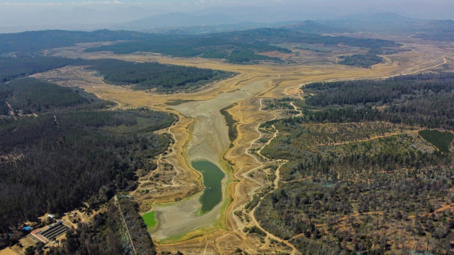 profimedia-pesti morti lac chile 2