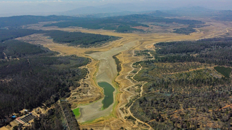 profimedia-pesti morti lac chile 2