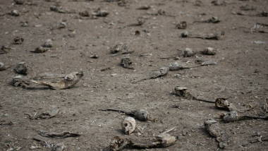 Drought in Chile