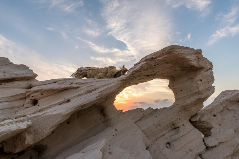 Fossil dunes, Abu Dhabi, UAE