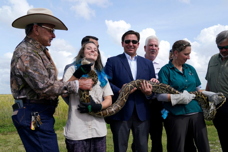 Python Hunt Florida