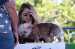 The World's Ugliest Dog contest in Petaluma, California.