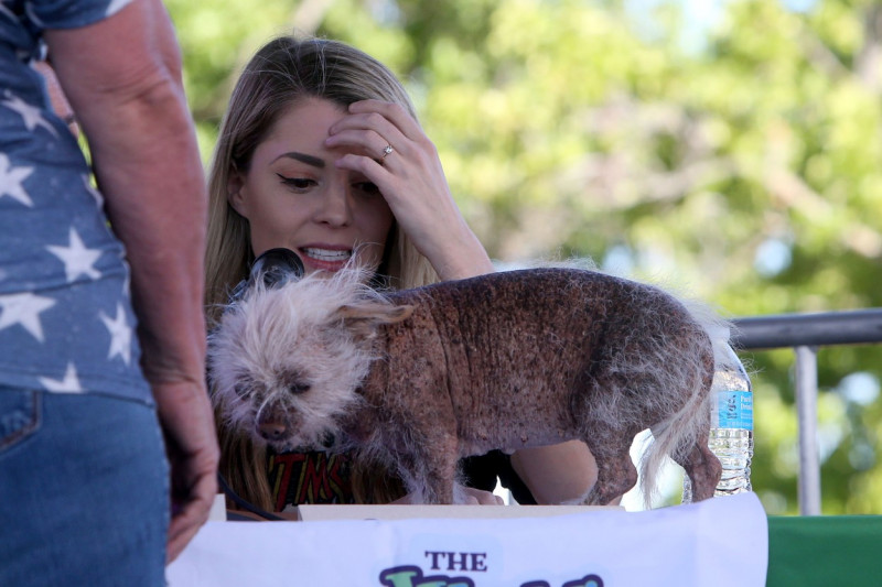 The World's Ugliest Dog contest in Petaluma, California.