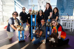 The World's Ugliest Dog contest in Petaluma, California.