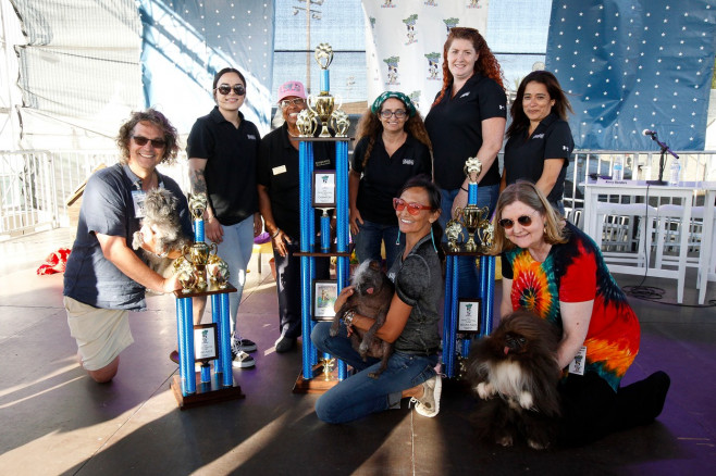 The World's Ugliest Dog contest in Petaluma, California.