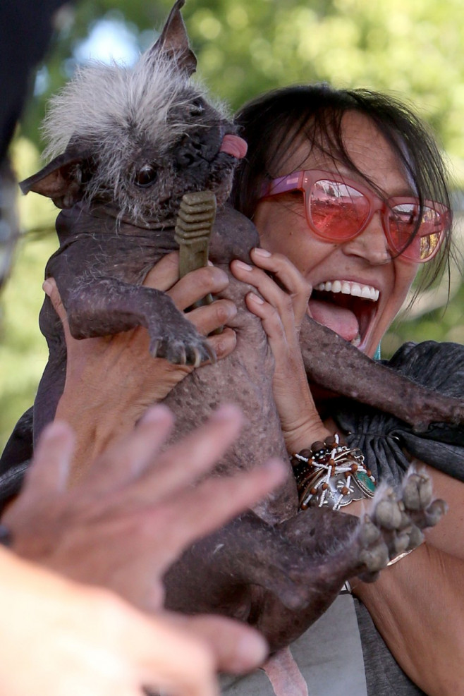 The World's Ugliest Dog contest in Petaluma, California.