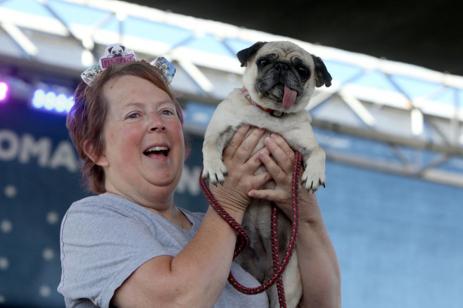 The World's Ugliest Dog contest in Petaluma, California.