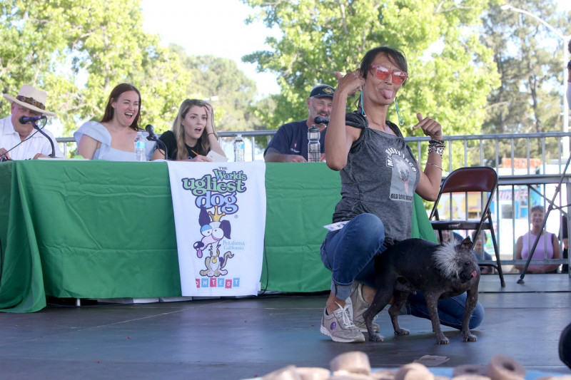 The World's Ugliest Dog contest in Petaluma, California.