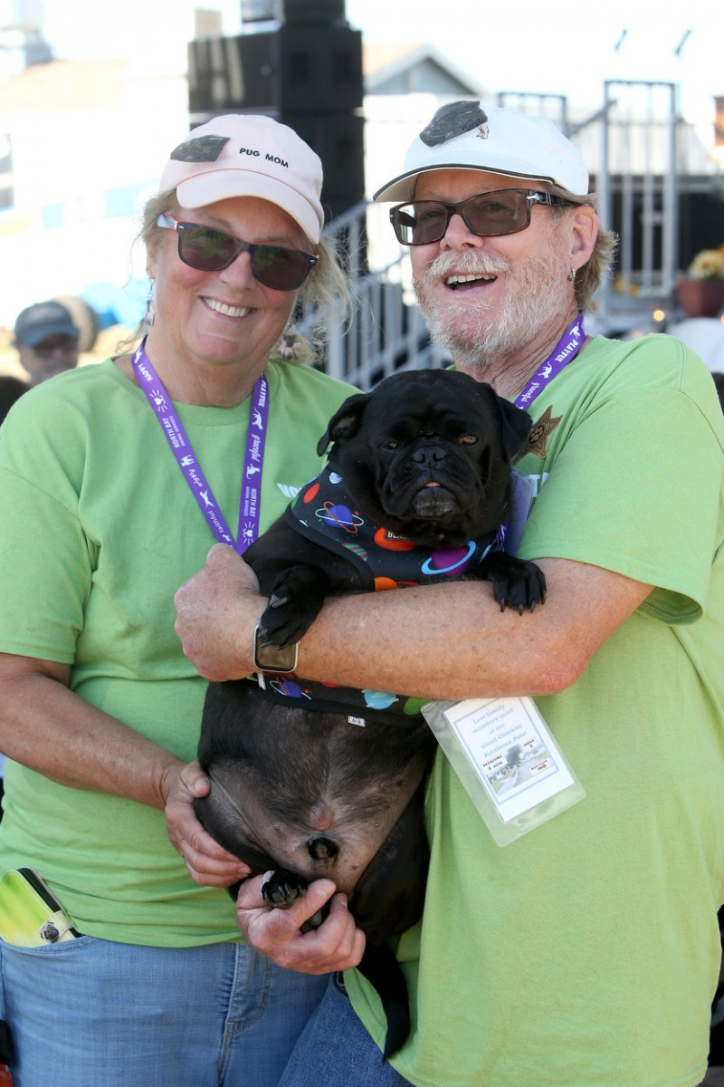 The World's Ugliest Dog contest in Petaluma, California.