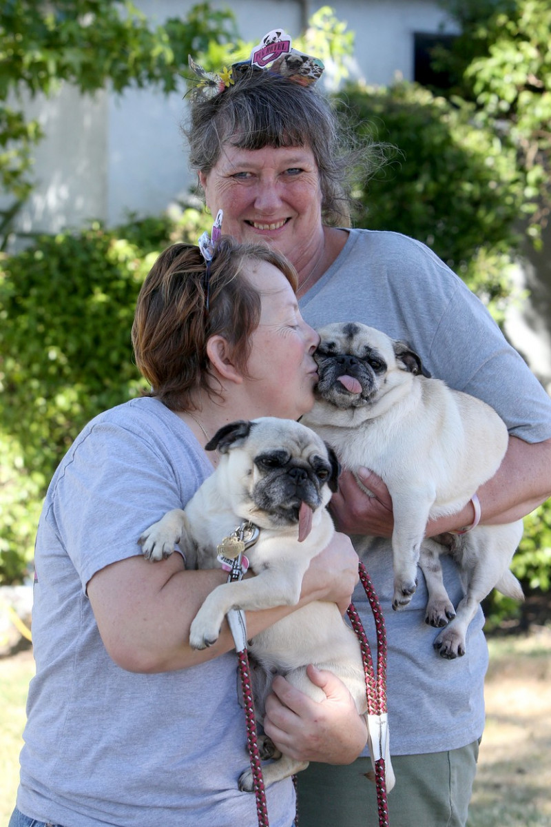 The World's Ugliest Dog contest in Petaluma, California.