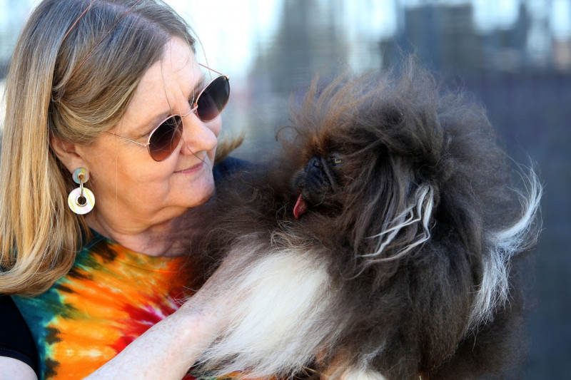 The World's Ugliest Dog contest in Petaluma, California.