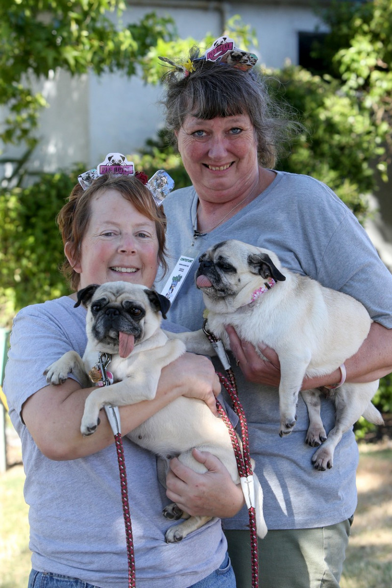 The World's Ugliest Dog contest in Petaluma, California.