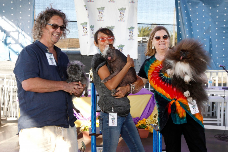 The World's Ugliest Dog contest in Petaluma, California.