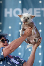 The World's Ugliest Dog contest in Petaluma, California.