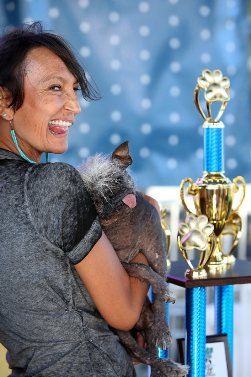 Mr Happy Face wins the World's Ugliest Dog Competition in Petaluma, California.