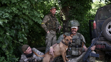 militari ucraineni și un câine într-un moment de relaxare pe frontul din Donbas, Ucraina
