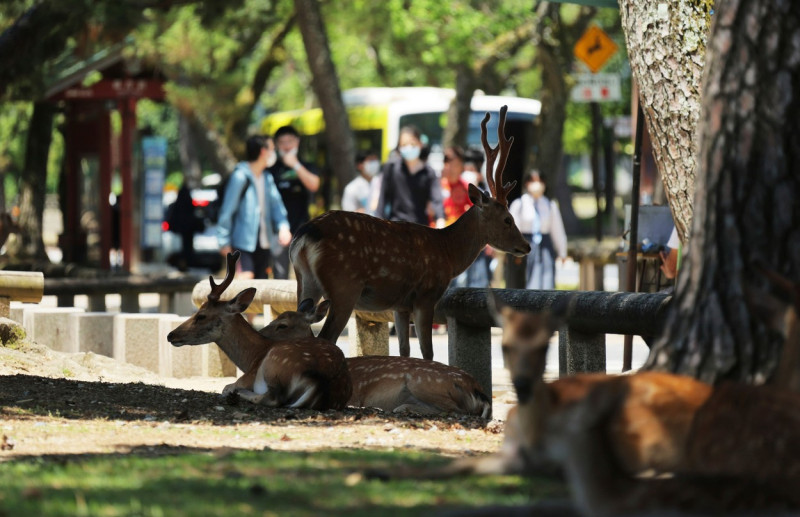 Extremely hot day in Nara