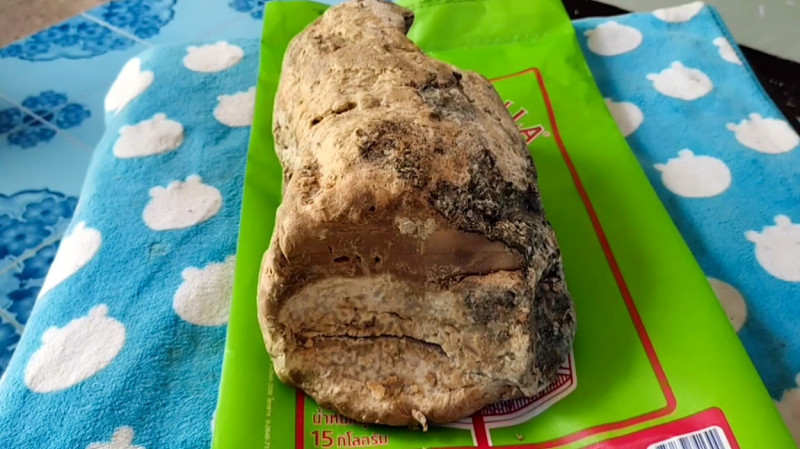 Struggling fisherman finds whopping 3.4kg lump of ambergris worth £108k