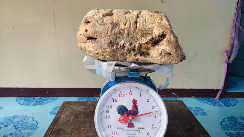Struggling fisherman finds whopping 3.4kg lump of ambergris worth £108k