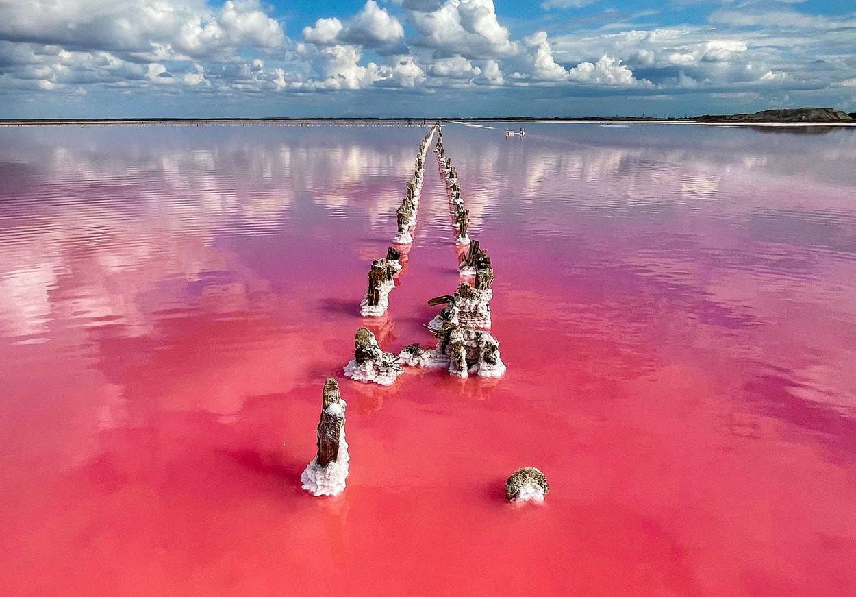 De ce este roz un lac sărat din Crimeea