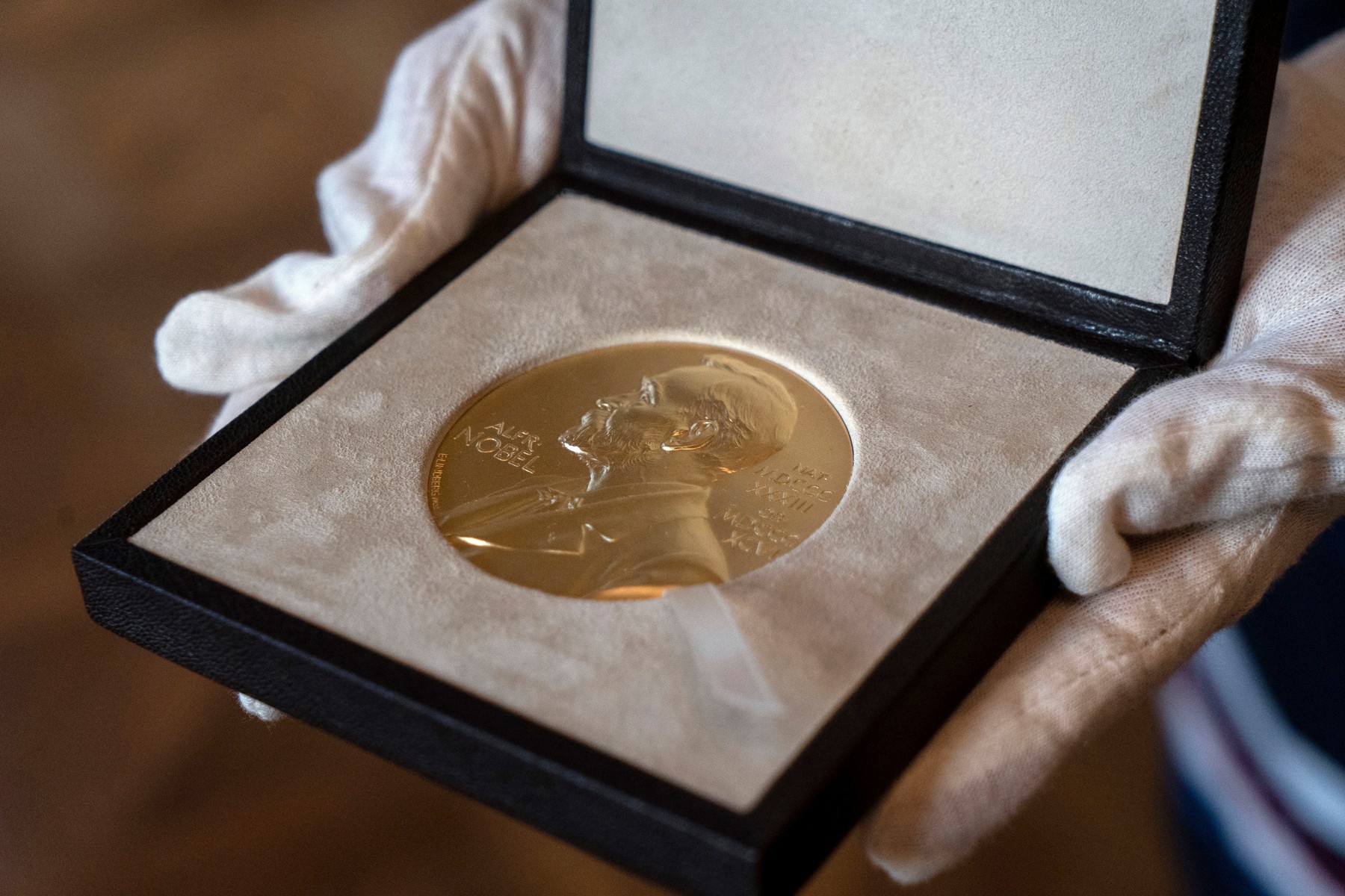 Premiului Nobel pentru medicină 2024 este acordat astăzi. Prima distincție din săptămâna Nobel
