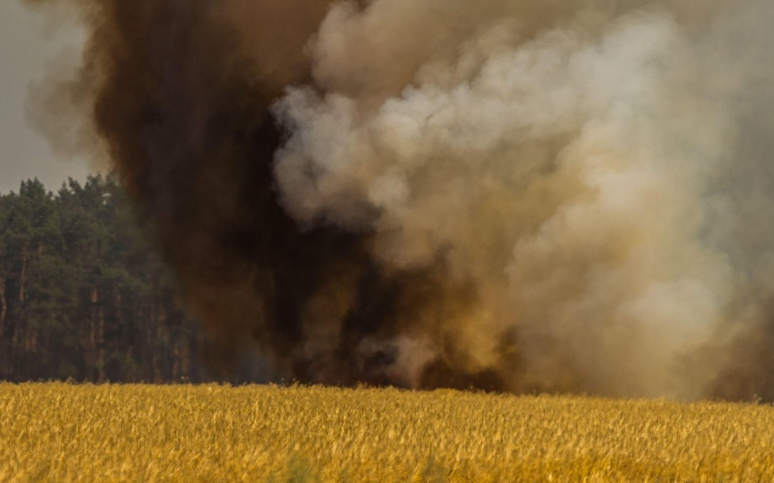 200 de hectare de culturi agricole au fost mistuite de flăcări în câteva ore