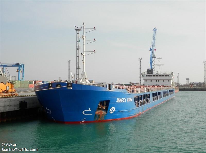Turcia investighează dacă nava rusească reținută în Marea Neagră transportă cereale furate din Ucraina