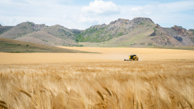 combina treieră grâul cu ocazia recoltării pe un lan de lângă Tulcea, România