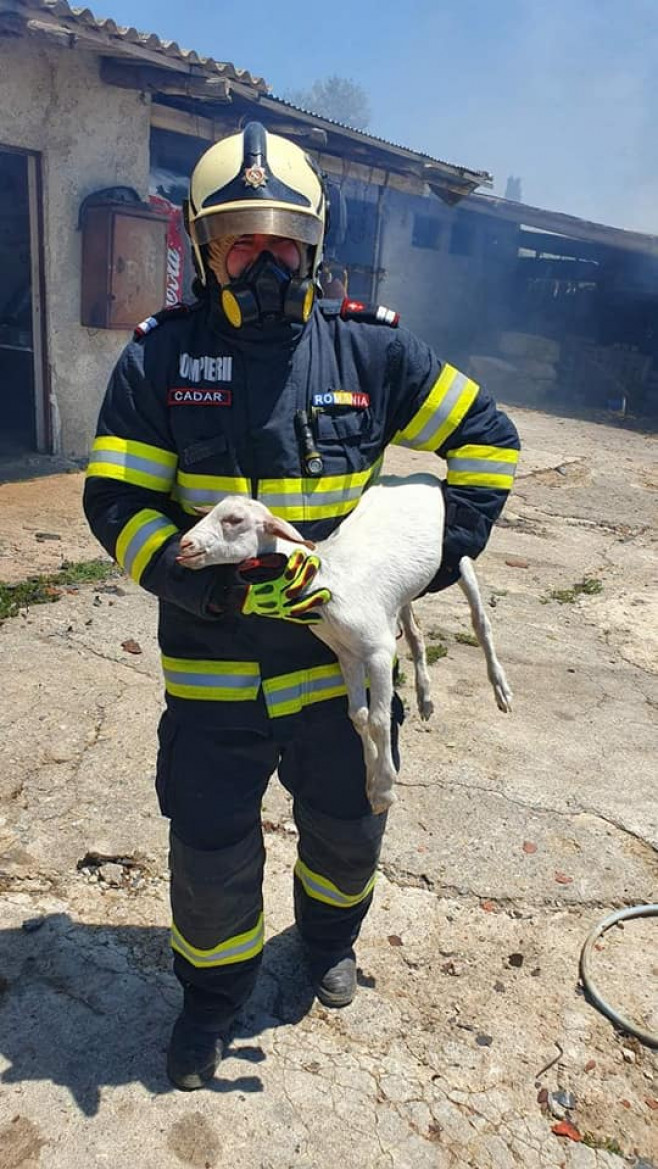 incendiu grecia pompieri romani3