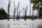 australia-inundatii-profimedia10