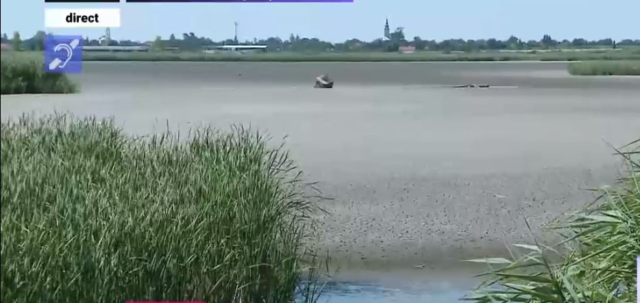 VIDEO. Un lac de peste 100 de hectare, aflat într-o arie naturală protejată din Satu Mare, a secat