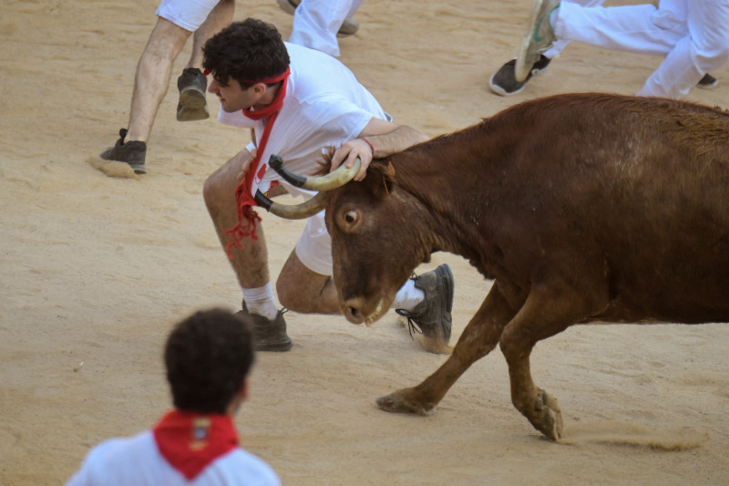 Cursele cu tauri au revenit pe străzile din Pamplona