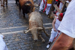 ESP: San Fermin Bulls 2022 Edition. Day 2