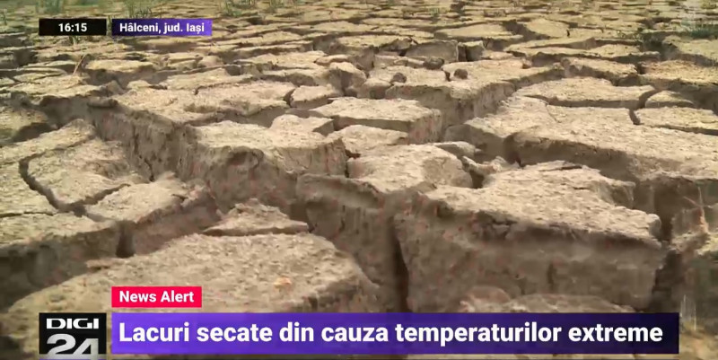 halceni lac secat - captura