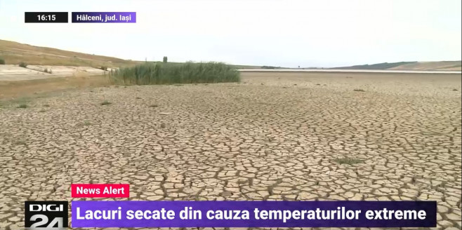 lac halceni secat - captura