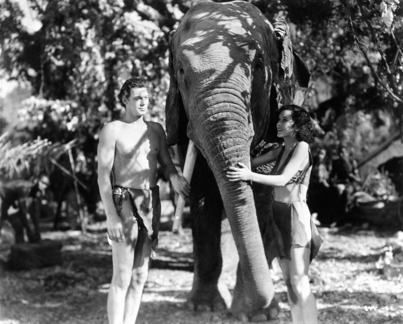 JOHNNY WEISSMULLER as Tarzan and MAUREEN O'SULLIVAN as Jane Parker with Elephant in TARZAN AND HIS MATE 1934 directors CEDRIC GIBBONS and JACK CONWAY characters EDGAR RICE BURROUGHS Photo by TED ALLAN Metro Goldwyn Mayer