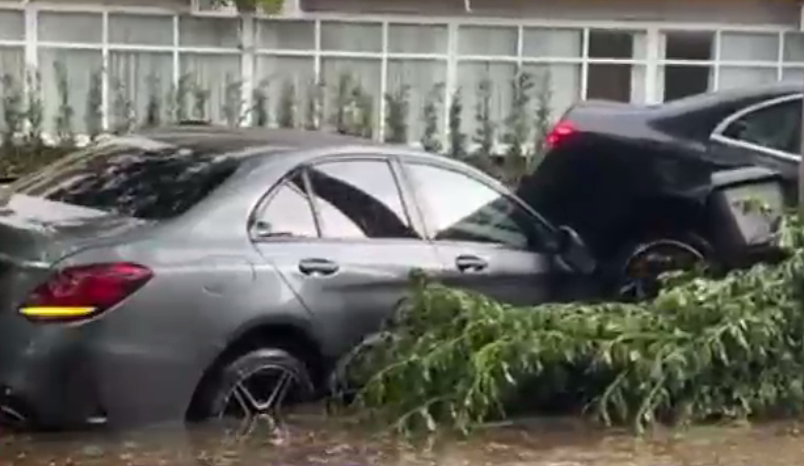 VIDEO. O furtună violentă a făcut ravagii în Craiova: Mașini luate de apă, pomi și stâlpi doborâți de vânt, acoperișuri smulse